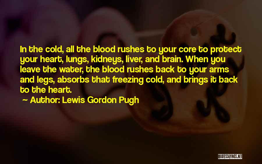 Your Heart And Brain Quotes By Lewis Gordon Pugh