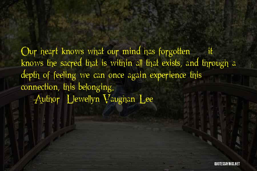 Your Heart Belonging To Someone Quotes By Llewellyn Vaughan-Lee