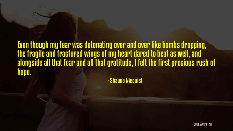 Your Heart Dropping Quotes By Shauna Niequist