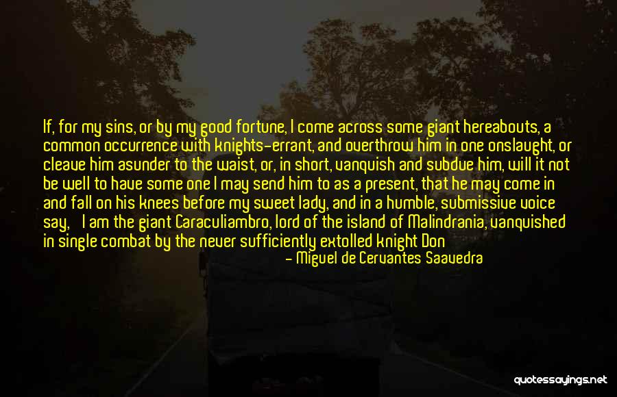 Your Highness Quotes By Miguel De Cervantes Saavedra Your Highness Quotes By Miguel De Cervantes Saavedra
