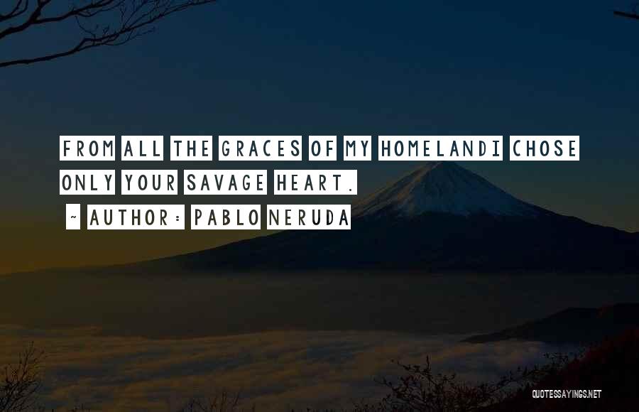 Your Homeland Quotes By Pablo Neruda