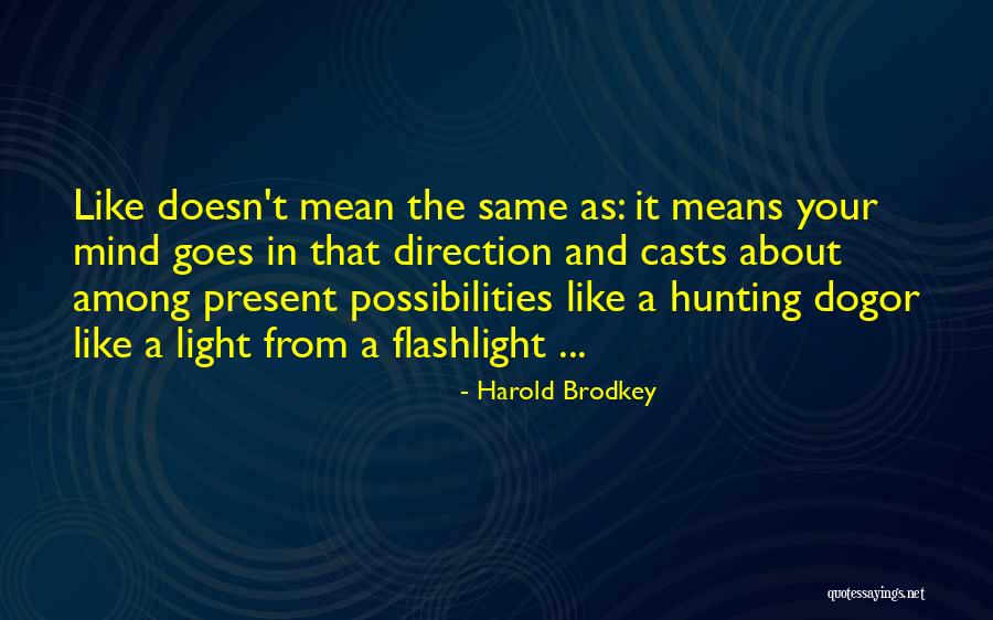 Your Hunting Dog Quotes By Harold Brodkey