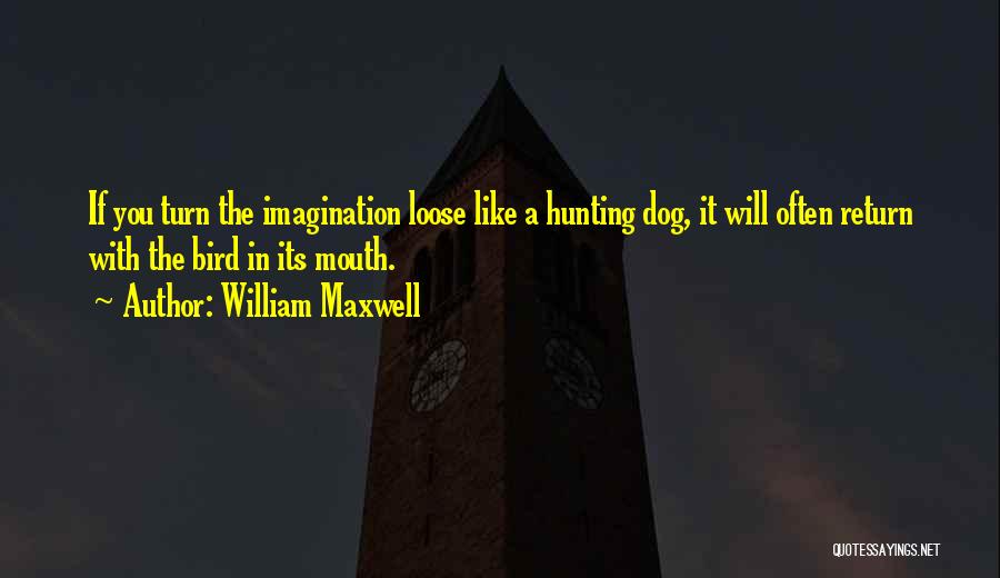 Your Hunting Dog Quotes By William Maxwell