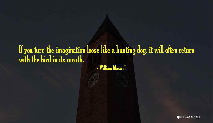 Your Hunting Dog Quotes By William Maxwell