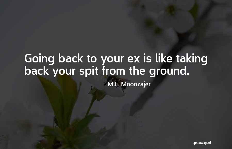 Your Husband's Ex Wife Quotes By M.F. Moonzajer