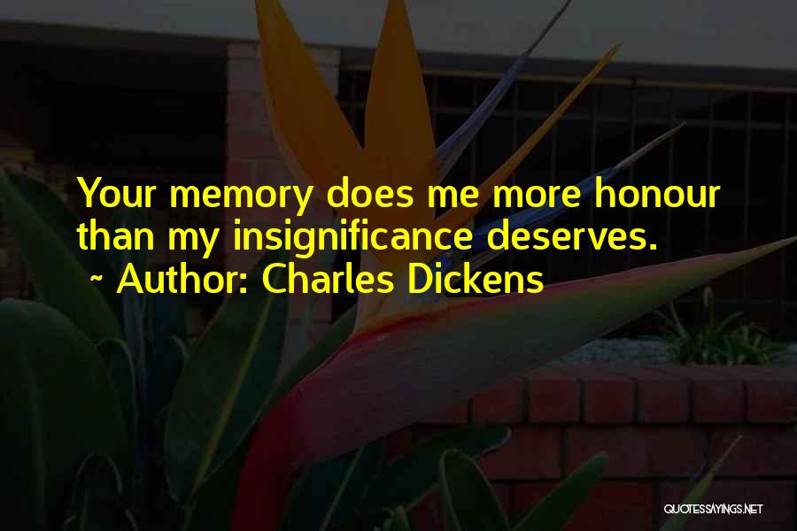 Your Insignificance Quotes By Charles Dickens
