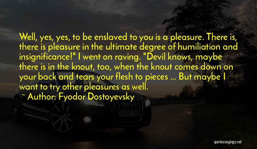 Your Insignificance Quotes By Fyodor Dostoyevsky