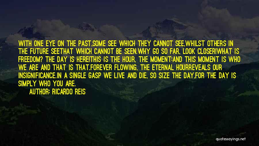 Your Insignificance Quotes By Ricardo Reis