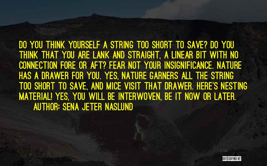 Your Insignificance Quotes By Sena Jeter Naslund