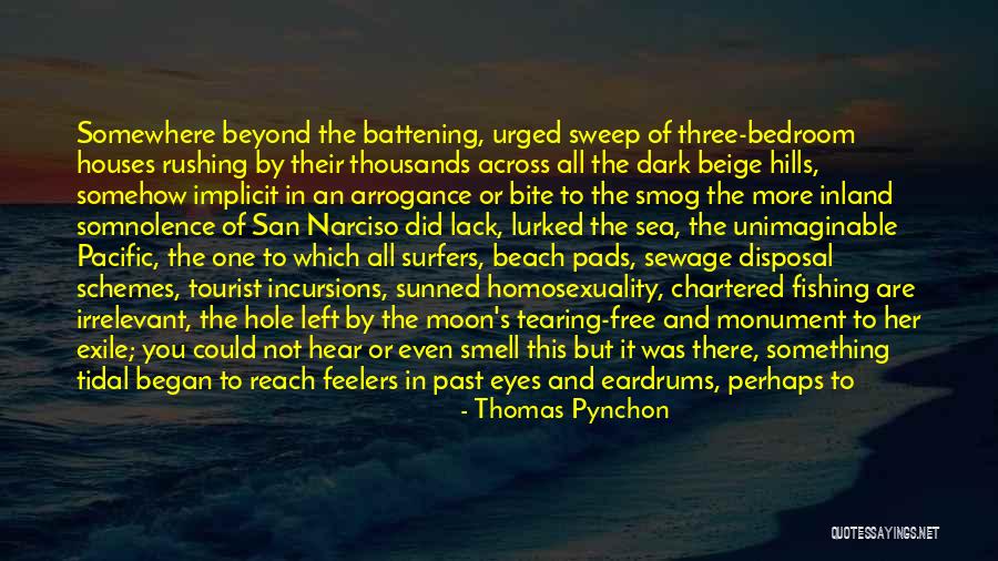 Your Irrelevant Quotes By Thomas Pynchon Your Irrelevant Quotes By Thomas Pynchon