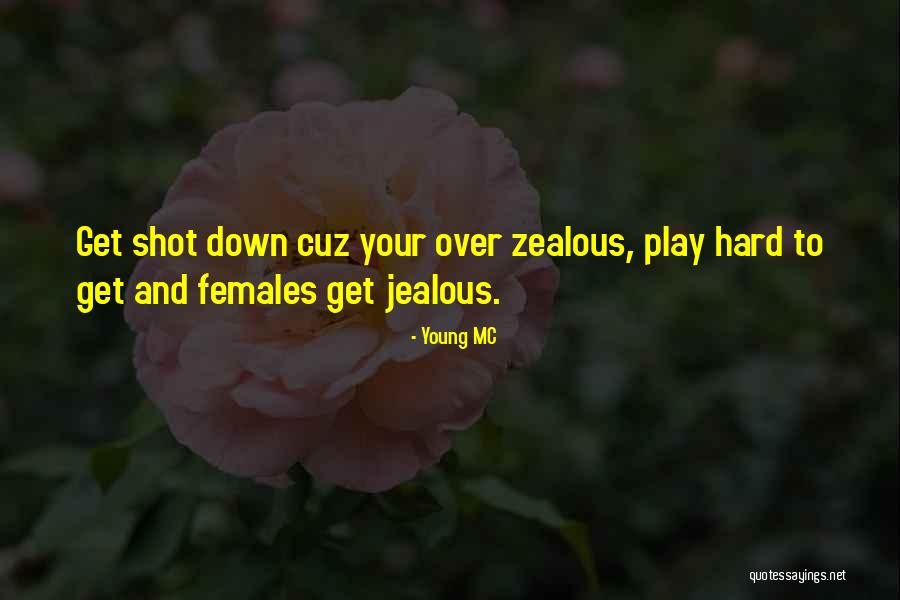 Your Jealous Quotes By Young MC