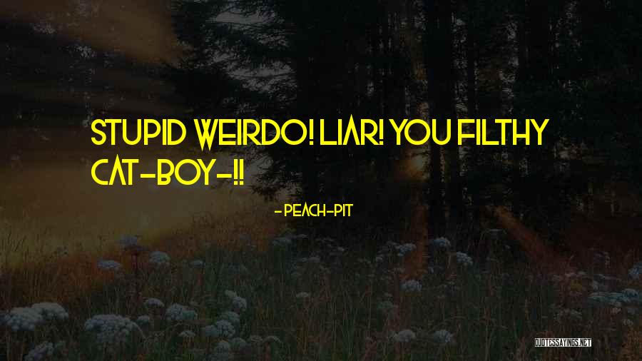 Your Just A Stupid Boy Quotes By Peach-Pit Your Just A Stupid Boy Quotes By Peach-Pit