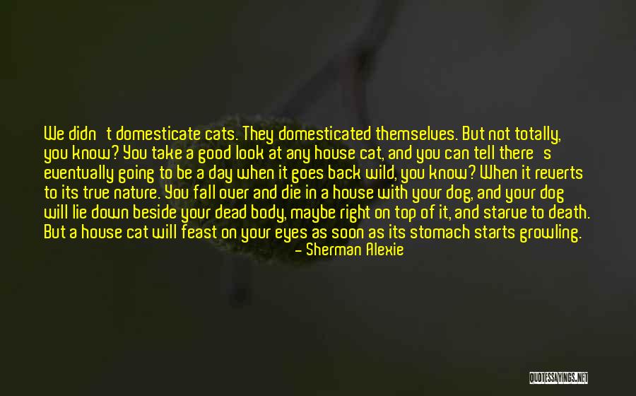Your Lie Quotes By Sherman Alexie Your Lie Quotes By Sherman Alexie