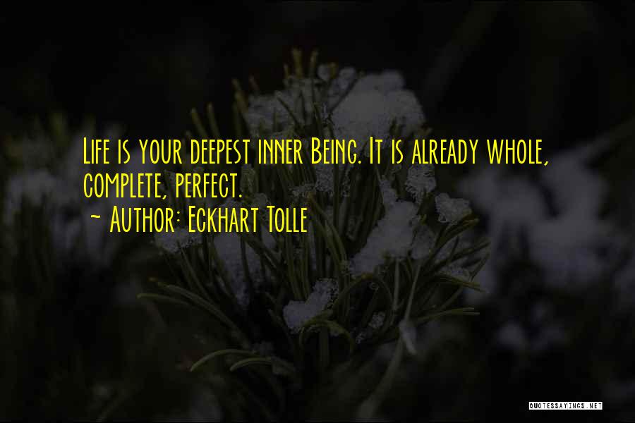 Your Life Being Perfect Quotes By Eckhart Tolle