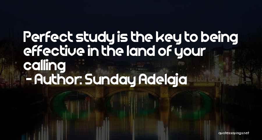 Your Life Being Perfect Quotes By Sunday Adelaja