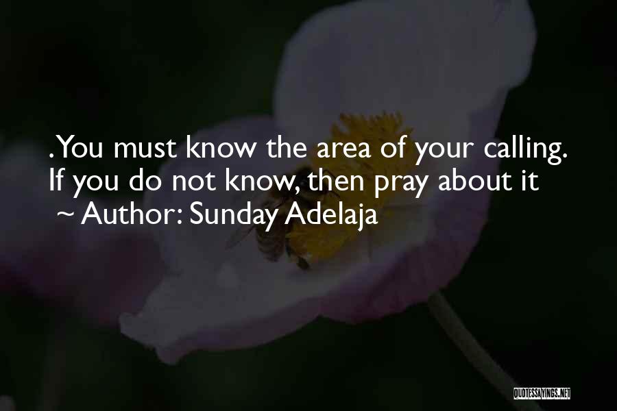 Your Life Calling Quotes By Sunday Adelaja