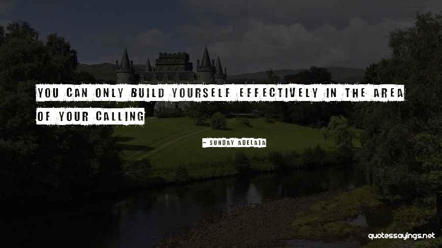 Your Life Calling Quotes By Sunday Adelaja Your Life Calling Quotes By Sunday Adelaja