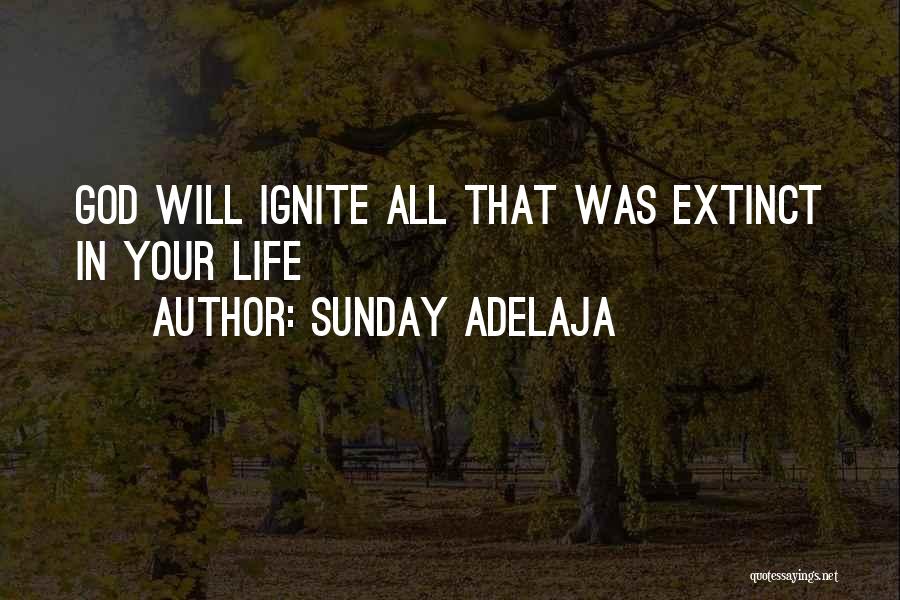Your Life Calling Quotes By Sunday Adelaja