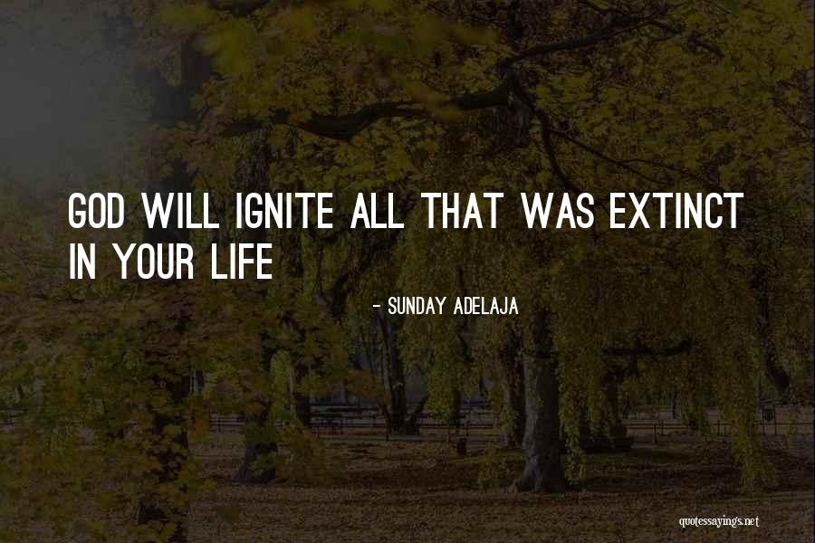 Your Life Calling Quotes By Sunday Adelaja