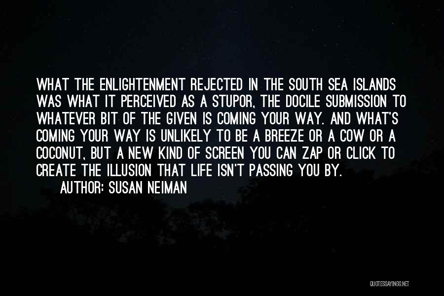 Your Life Passing You By Quotes By Susan Neiman