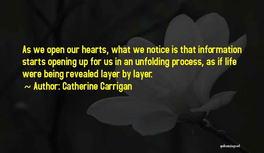 Your Life Starts Now Quotes By Catherine Carrigan