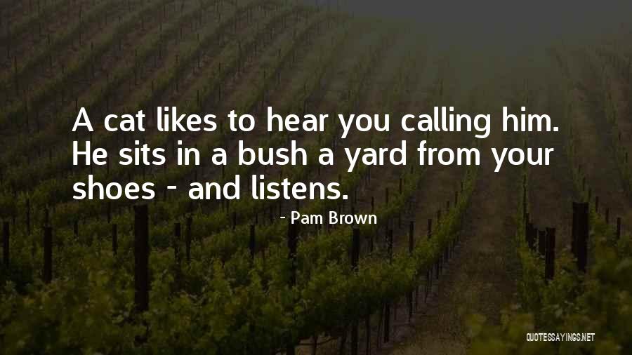 Your Likes Quotes By Pam Brown