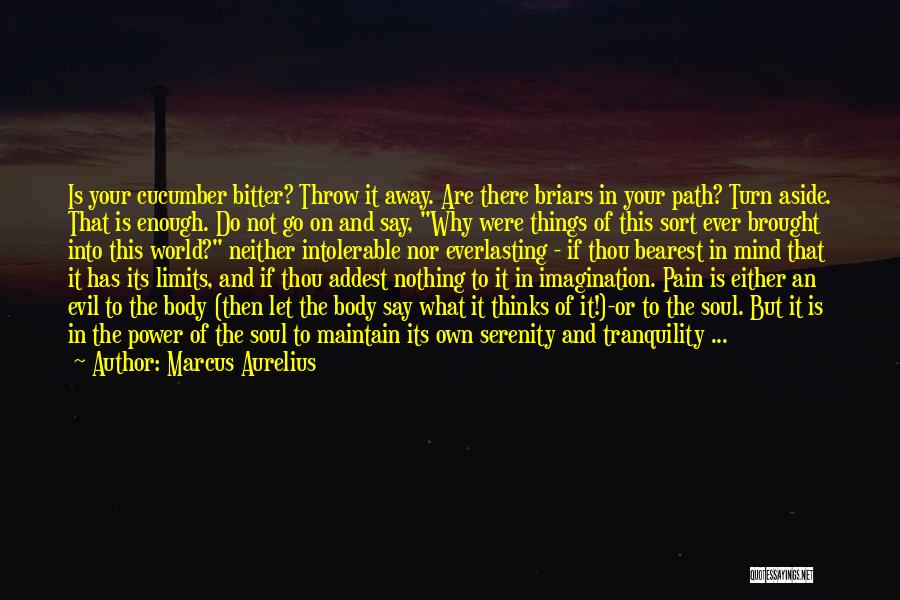 Your Limits Quotes By Marcus Aurelius