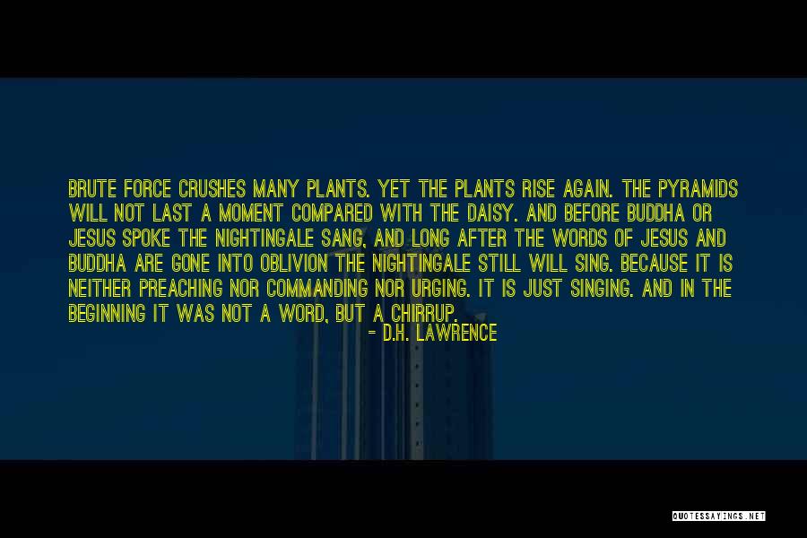 Your Long Time Crush Quotes By D.H. Lawrence Your Long Time Crush Quotes By D.H. Lawrence