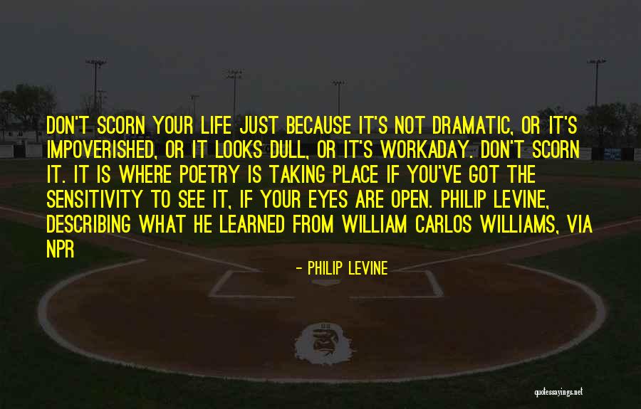 Your Looks Quotes By Philip Levine