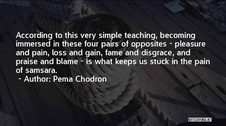Your Loss Is Gain Quotes By Pema Chodron
