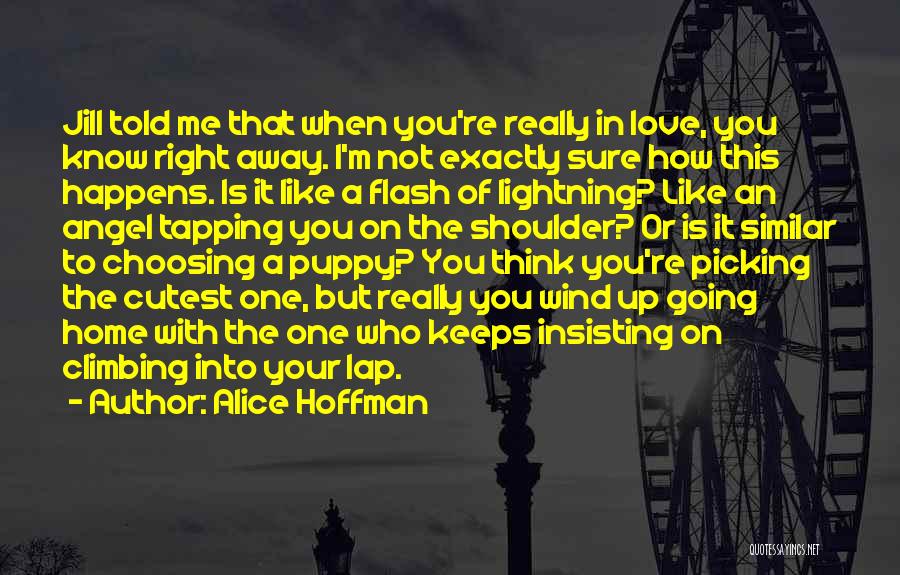 Your Love Going Away Quotes By Alice Hoffman