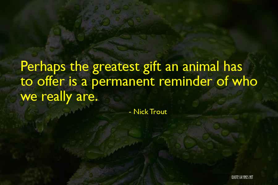 Your Love Is The Greatest Gift Quotes By Nick Trout