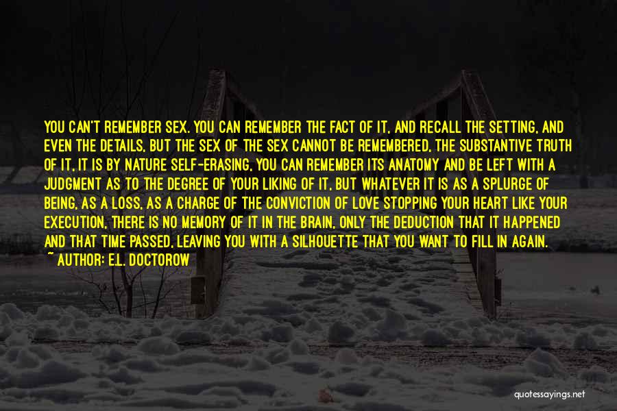 Your Love Leaving You Quotes By E.L. Doctorow