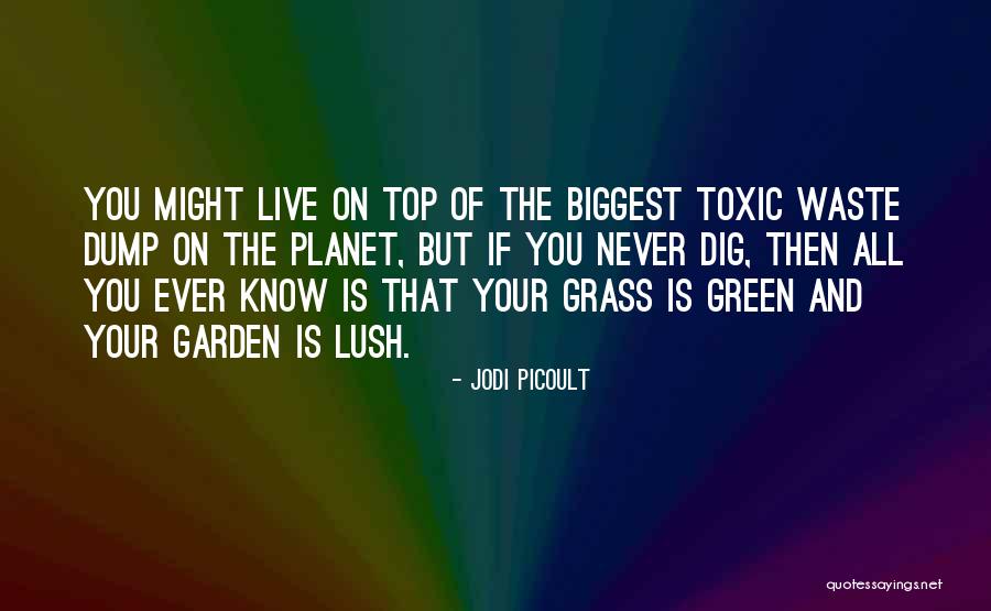 Your Lush Quotes By Jodi Picoult Your Lush Quotes By Jodi Picoult