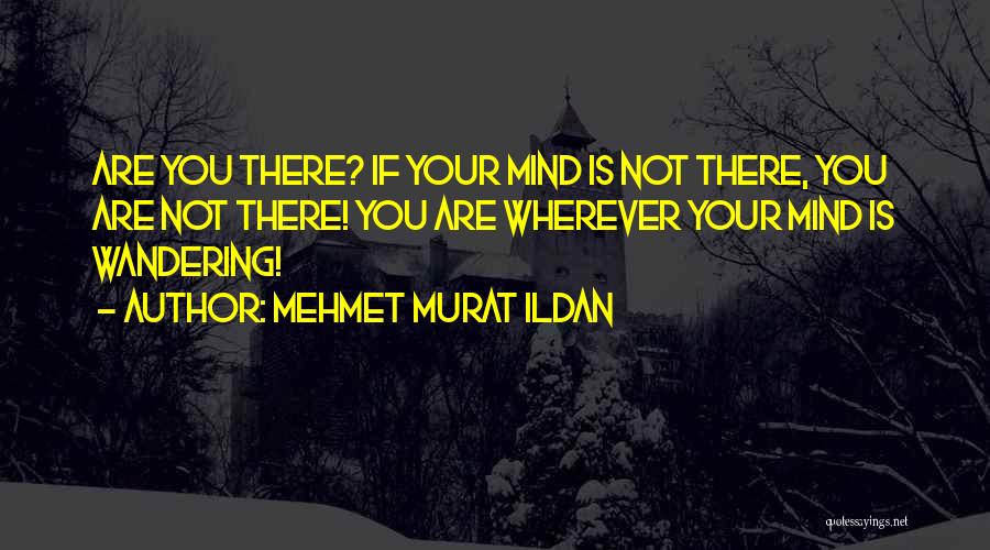 Your Mind Wandering Quotes By Mehmet Murat Ildan