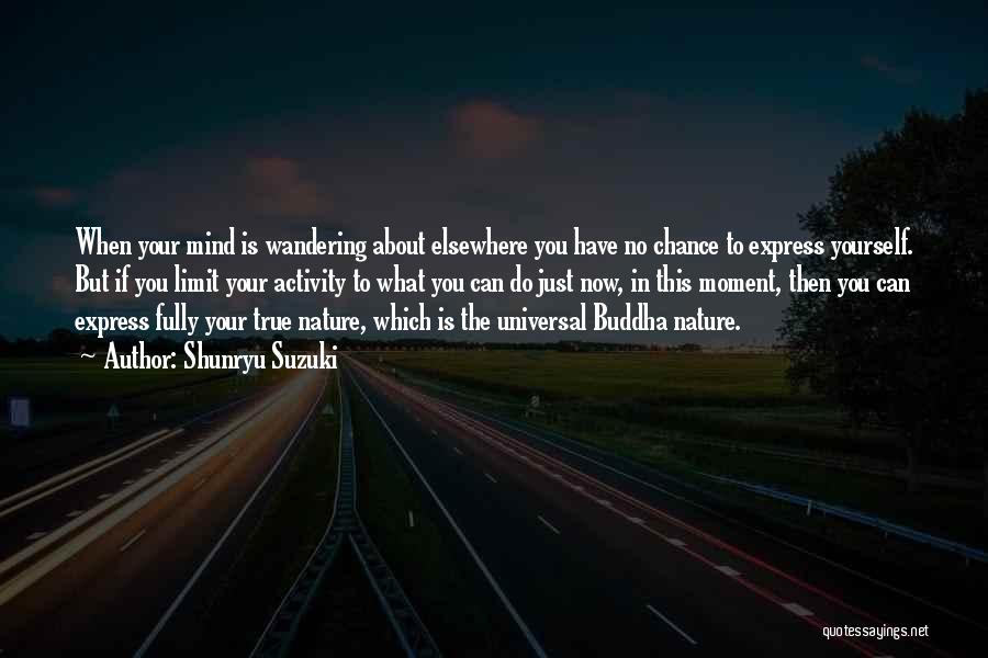 Your Mind Wandering Quotes By Shunryu Suzuki