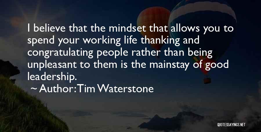 Your Mindset Quotes By Tim Waterstone