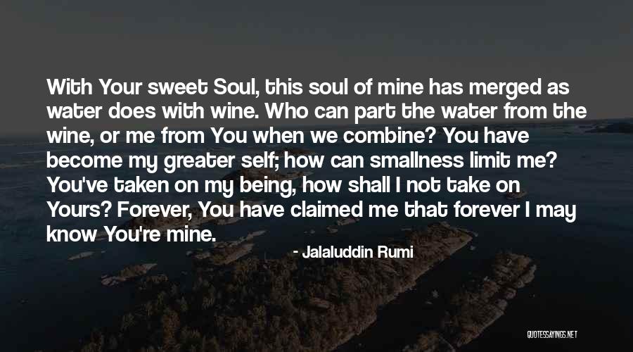 Your Mine I'm Yours Quotes By Jalaluddin Rumi