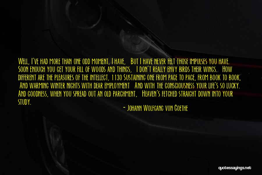 Your More Than Enough Quotes By Johann Wolfgang Von Goethe Your More Than Enough Quotes By Johann Wolfgang Von Goethe