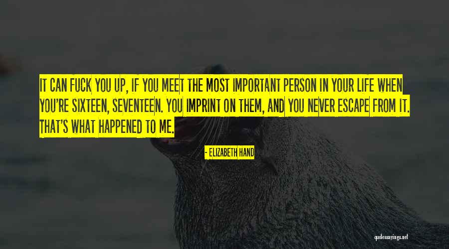 Your Most Important Person Quotes By Elizabeth Hand Your Most Important Person Quotes By Elizabeth Hand
