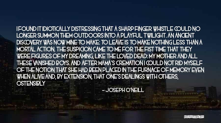 Your Mother Leaving You Quotes By Joseph O'Neill