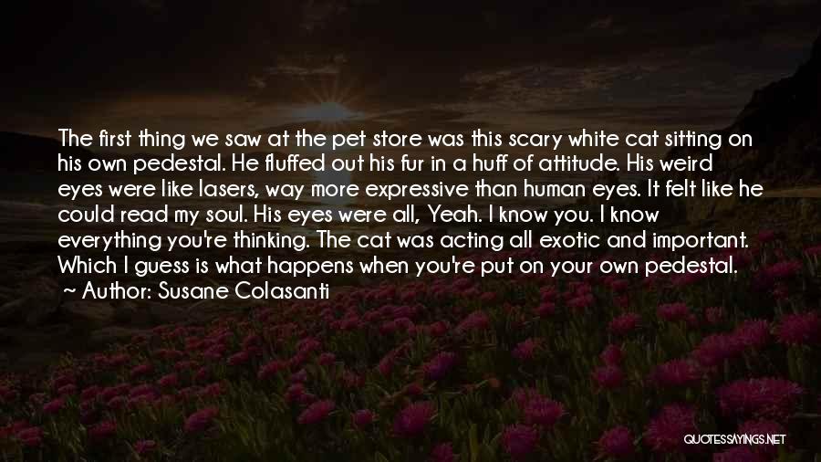 Your My Everything And More Quotes By Susane Colasanti