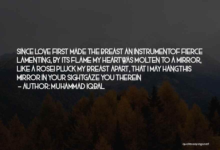 Your My First Love Quotes By Muhammad Iqbal