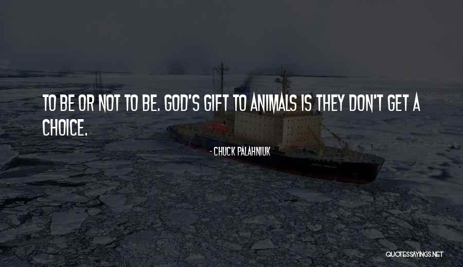 Your My Gift From God Quotes By Chuck Palahniuk