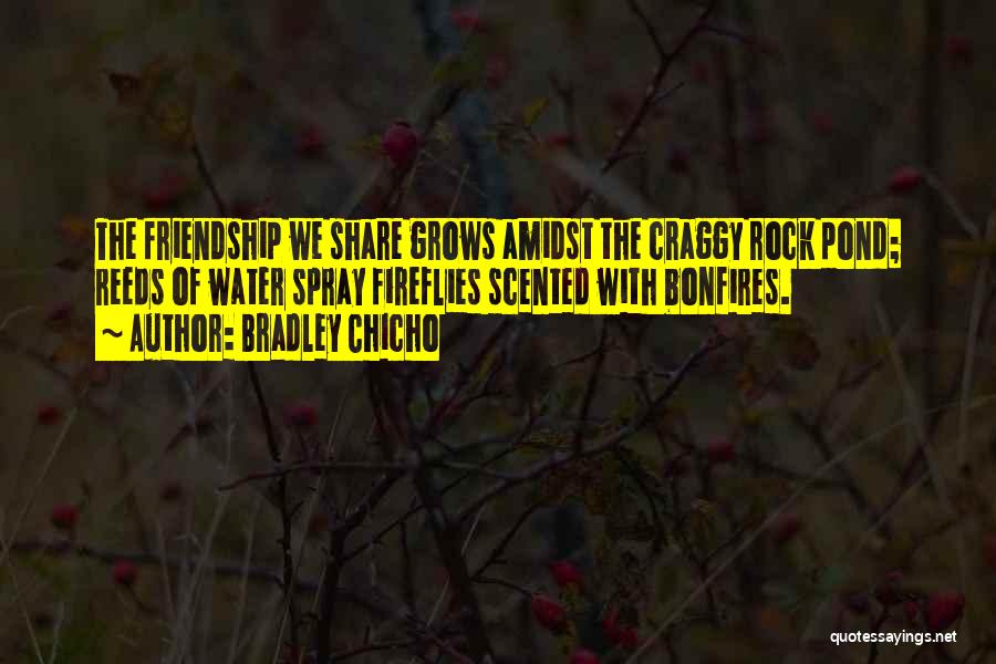 Your My Rock Friendship Quotes By Bradley Chicho