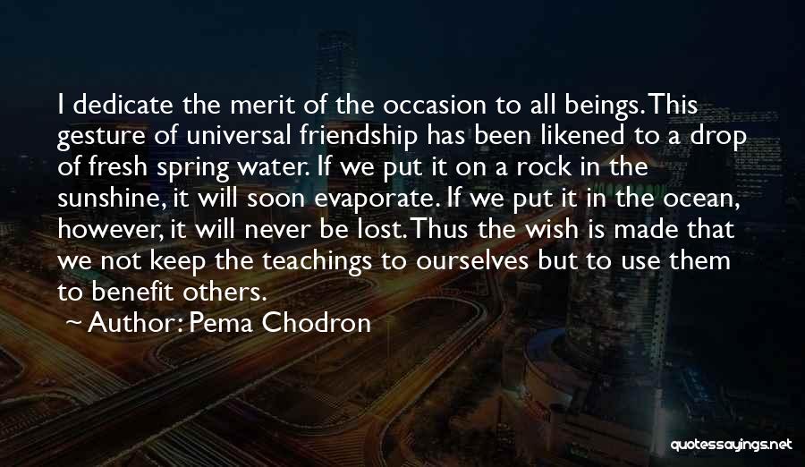 Your My Rock Friendship Quotes By Pema Chodron