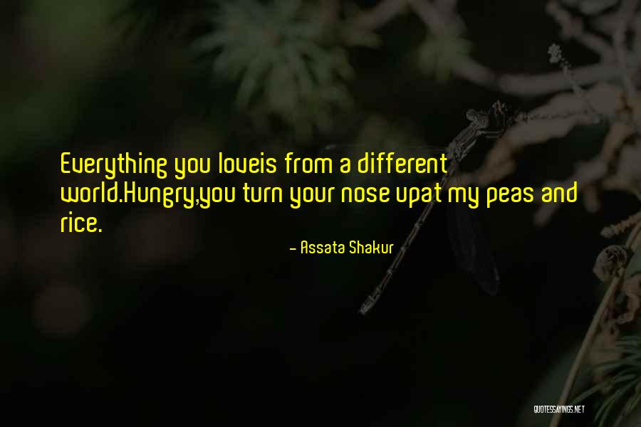 Your My World My Everything Quotes By Assata Shakur Your My World My Everything Quotes By Assata Shakur