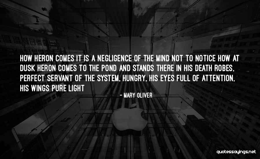 Your Negligence Quotes By Mary Oliver Your Negligence Quotes By Mary Oliver