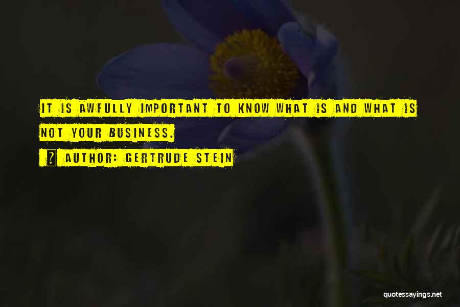 Your Not Important Quotes By Gertrude Stein