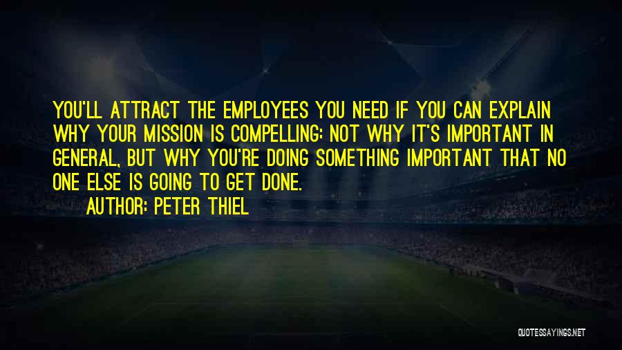 Your Not Important Quotes By Peter Thiel